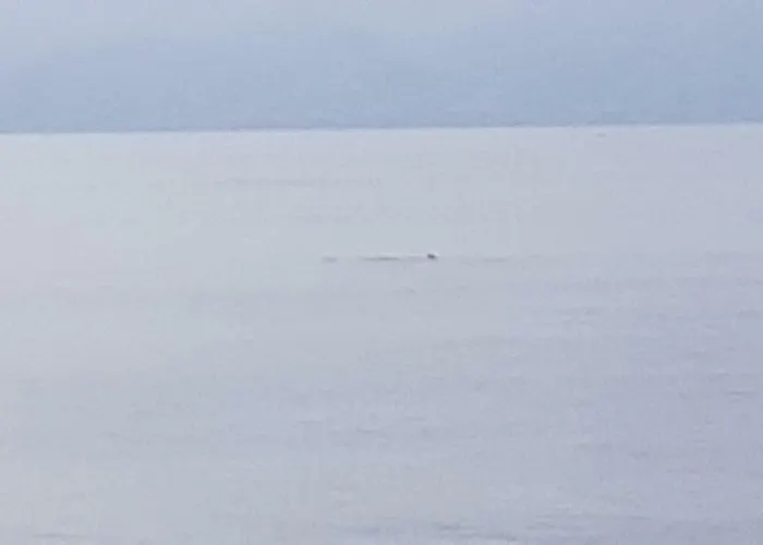 דירה Attico Sottovento רג'יו די קאלאבריה